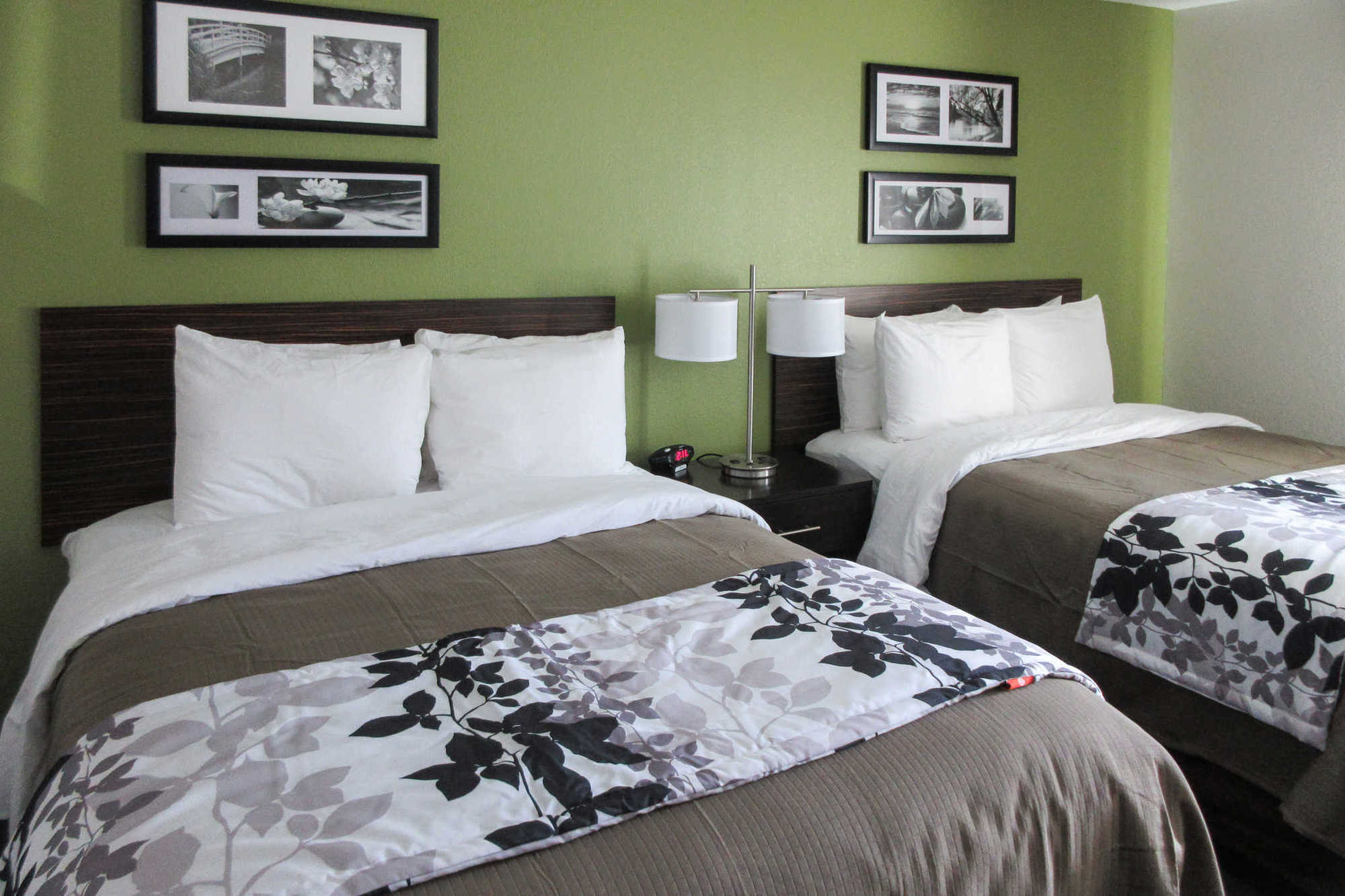 Sleep Inn & Suites College Station Quarto foto